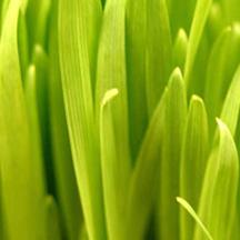 ddos压力在线测试平台